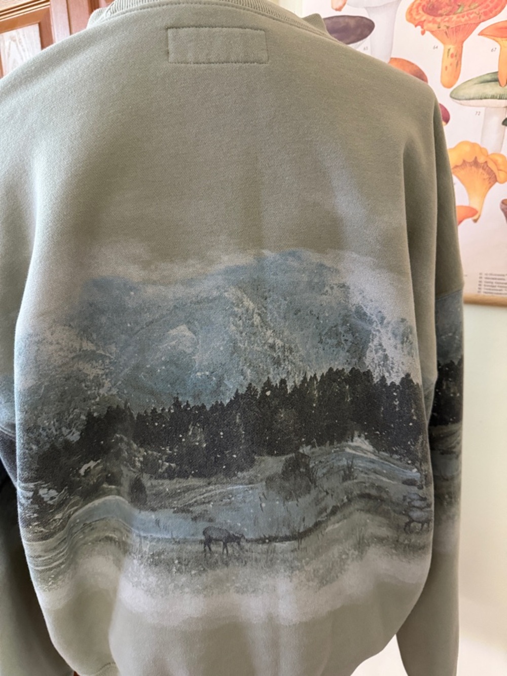 Abercrombie & Fitch Sage Green Graphic Crewneck Sweatshirt - Picture 6 of 6